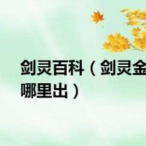 剑灵百科（剑灵金刚剑哪里出）