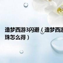 造梦西游3闪避(造梦西游3避水珠怎么得)