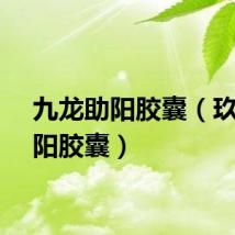 九龙助阳胶囊（玖龙助阳胶囊）