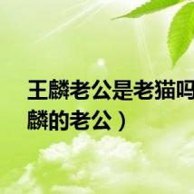 王麟老公是老猫吗（王麟的老公）