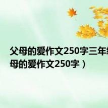 父母的爱作文250字三年级(父母的爱作文250字)