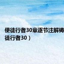 使徒行者30章逐节注解祷读(使徒行者30)