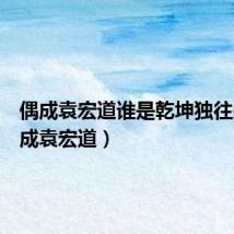 偶成袁宏道谁是乾坤独往来(偶成袁宏道)