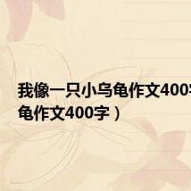 我像一只小乌龟作文400字(乌龟作文400字)