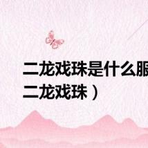 二龙戏珠是什么服务（二龙戏珠）