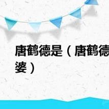 唐鹤德是（唐鹤德的老婆）
