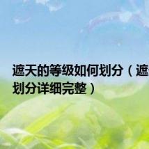 遮天的等级如何划分(遮天等级划分详细完整)