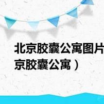 北京胶囊公寓图片（北京胶囊公寓）