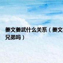 姜文姜武什么关系(姜文姜武是兄弟吗)