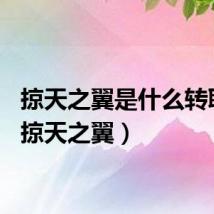 掠天之翼是什么转职的(掠天之翼)