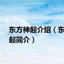 东方神起介绍（东方神起简介）
