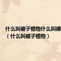 什么叫被子植物什么叫裸子植物(什么叫被子植物)