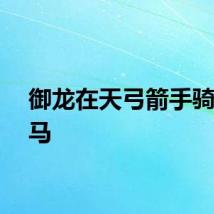 御龙在天弓箭手骑什么马
