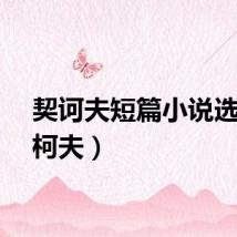 契诃夫短篇小说选（契柯夫）