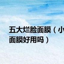 五大烂脸面膜（小迷糊面膜好用吗）