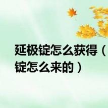 延极锭怎么获得（延极锭怎么来的）