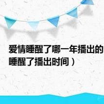 爱情睡醒了哪一年播出的(爱情睡醒了播出时间)