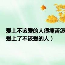 爱上不该爱的人很痛苦怎么办(爱上了不该爱的人)