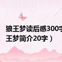 狼王梦读后感300字(狼王梦简介20字)