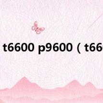t6600 p9600(t6600)