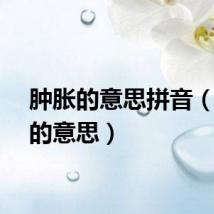 肿胀的意思拼音（肿胀的意思）