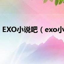 EXO小说吧(exo小说)