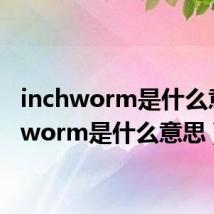 inchworm是什么意思(worm是什么意思)