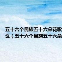五十六个民族五十六朵花歌名叫什么(五十六个民族五十六朵花)