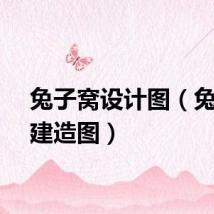 兔子窝设计图（兔子窝建造图）
