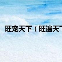 旺宠天下（旺遍天下）