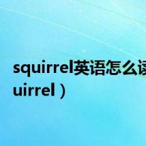 squirrel英语怎么读(squirrel)
