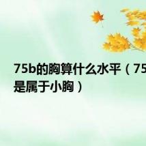 75b的胸算什么水平(75b是不是属于小胸)