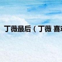 丁薇最后(丁薇 喜欢)