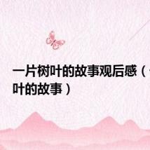 一片树叶的故事观后感(一片树叶的故事)