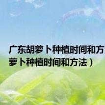 广东胡萝卜种植时间和方法(胡萝卜种植时间和方法)