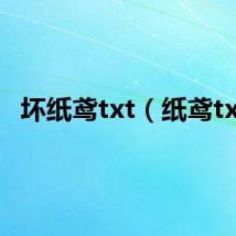 坏纸鸢txt（纸鸢txt）