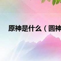 原神是什么（圆神）