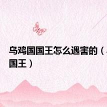 乌鸡国国王怎么遇害的（乌鸡国国王）