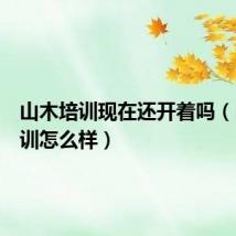 山木培训现在还开着吗(山木培训怎么样)
