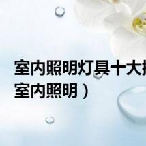 室内照明灯具十大排名（室内照明）