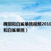 魄狙和白鲨单挑视频2010(魄狙和白鲨单挑)
