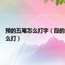 预的五笔怎么打字(段的五笔怎么打)