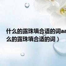 什么的露珠填合适的词aab(什么的露珠填合适的词)