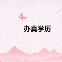 办真学历