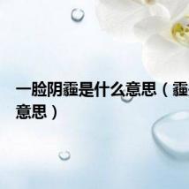 一脸阴霾是什么意思（霾是什么意思）