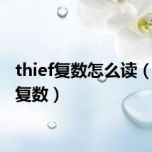 thief复数怎么读(thief复数)