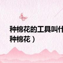 种棉花的工具叫什么（种棉花）