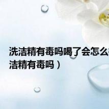 洗洁精有毒吗喝了会怎么样(洗洁精有毒吗)