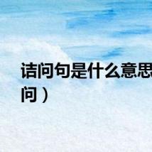 诘问句是什么意思（诘问）