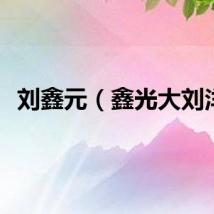 刘鑫元（鑫光大刘洋）